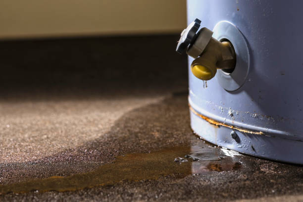 Best Carpet and Upholstery Water Damage Restoration in USA