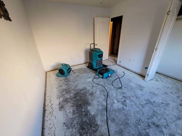 Best Basement Water Damage Restoration in USA